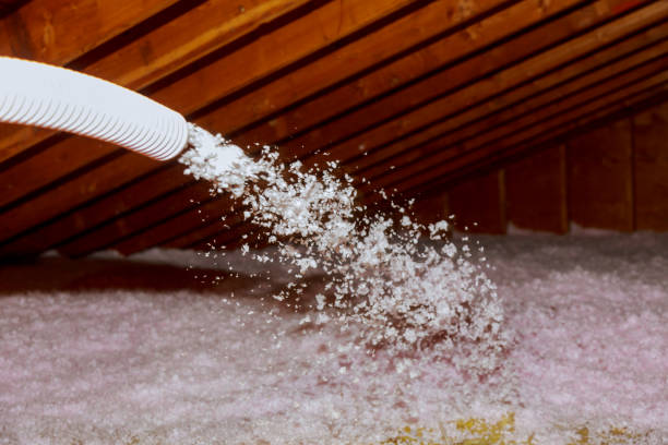 Best Commercial Insulation in Hartford, AL